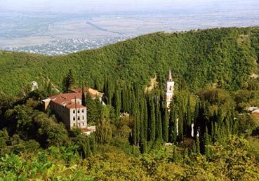 ღვინის ტური კახეთში !