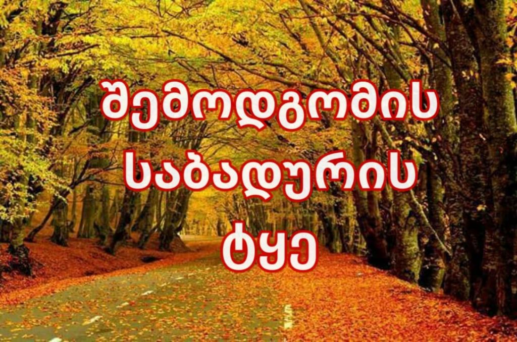 autumn in sabaduri forest