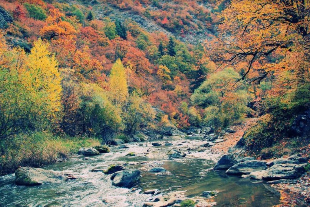 რკონი, ნოსტე, იკვი, ერთაწმინდა - შემოდგომის ფერებში