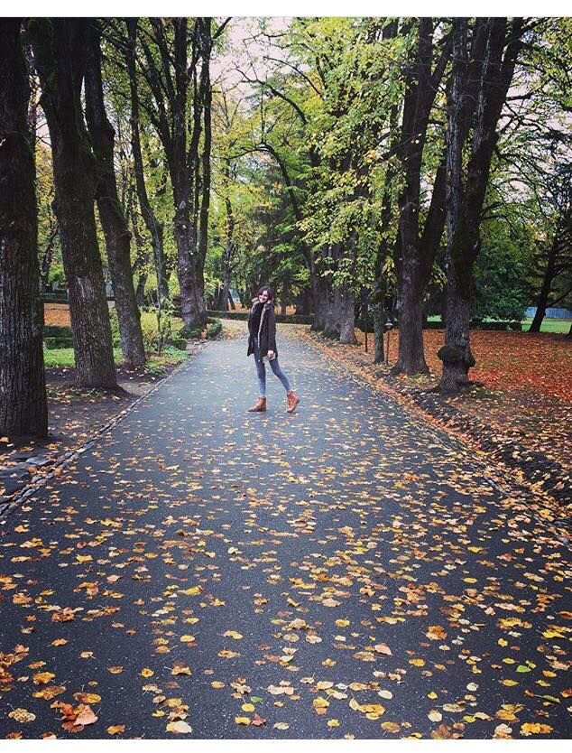 Telavi-Winandali-Gremi-Nekresi. One day tour in Kakheti