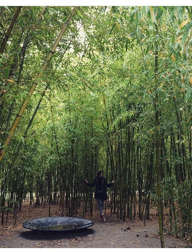 Telavi-Winandali-Gremi-Nekresi. One day tour in Kakheti