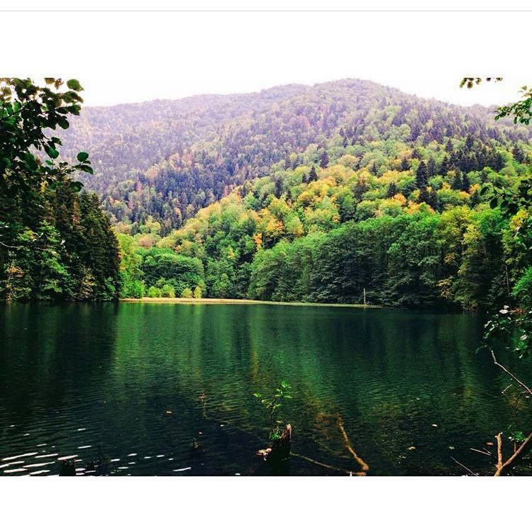 შემოდგომის ულამაზესი ძამას ხეობა: ყინწვისის სამონასტრო კომპლექსი,ორთუბნის დედათა მონასტერი, მზოვრეთი, სარკინეთის კლდეში ნაკვეთი ტაძარი, სამწევრისის მამათა მონასტერი, სამწევრისის ციხე, ბატეთის ტბა