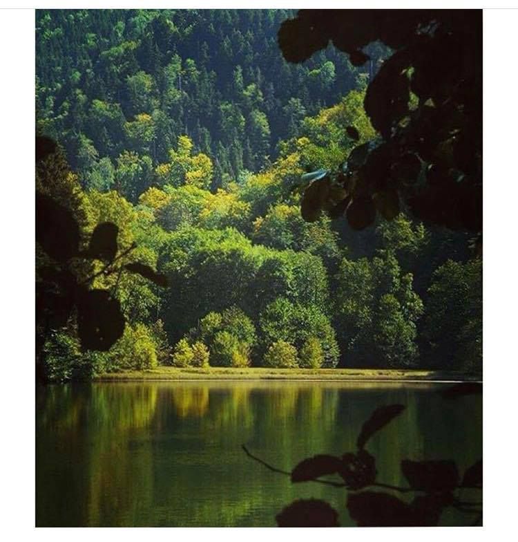 შემოდგომის ულამაზესი ძამას ხეობა: ყინწვისის სამონასტრო კომპლექსი,ორთუბნის დედათა მონასტერი, მზოვრეთი, სარკინეთის კლდეში ნაკვეთი ტაძარი, სამწევრისის მამათა მონასტერი, სამწევრისის ციხე, ბატეთის ტბა