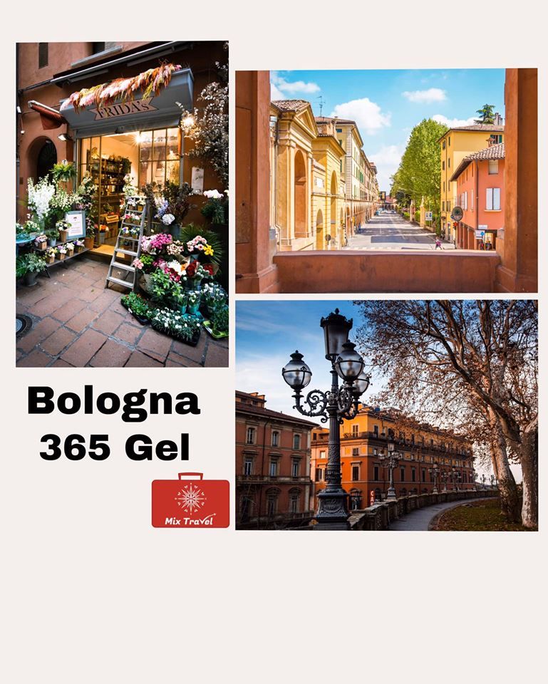 აქცია! ბოლონიის საგზური !