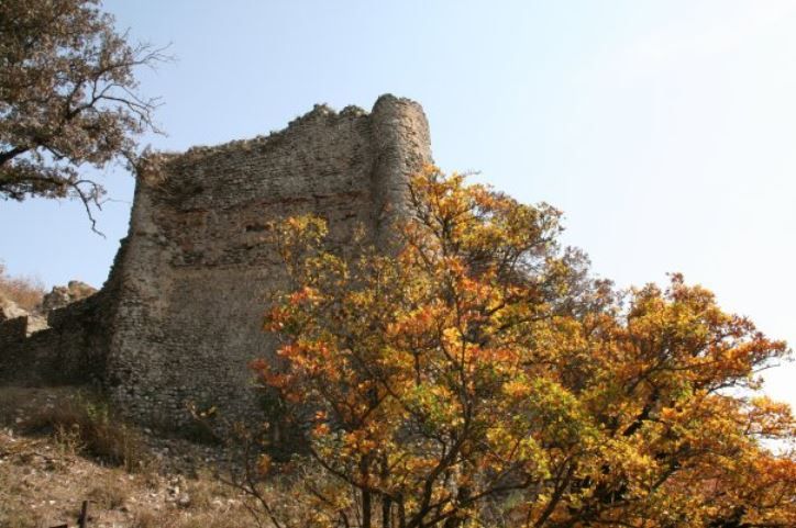 შიომღვიმე, ზედაზენი - შემოდგომის ფერებში