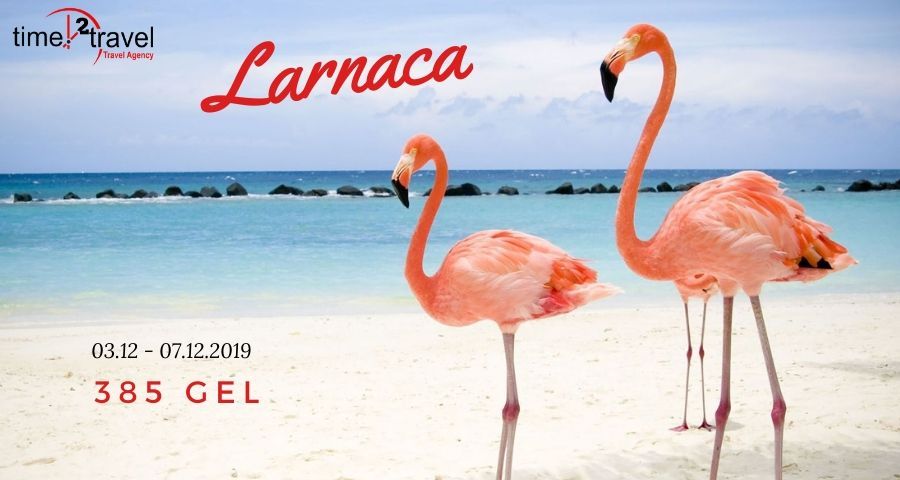 ლარნაკა დეკემბერში