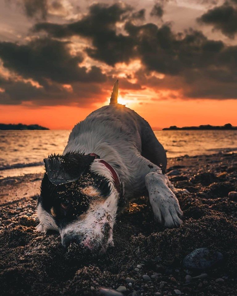 საბერძნეთი ათენი