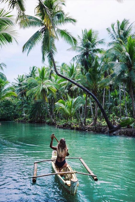 შრი-ლანკა - გაატარეთ დაუვიწყარი დღეები