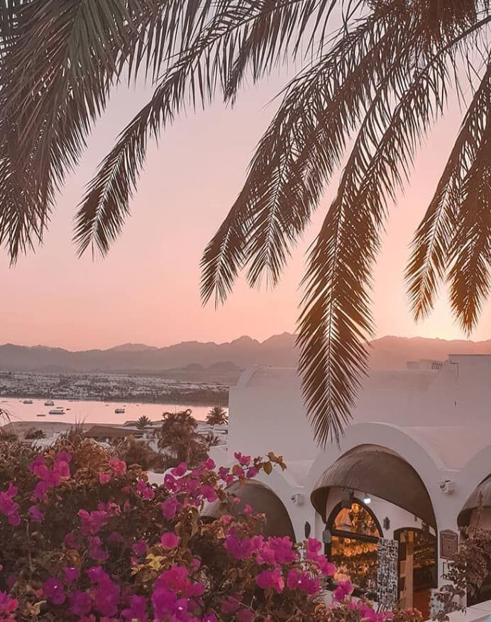 ეგვიპტე / შარმ ელ შეიხი