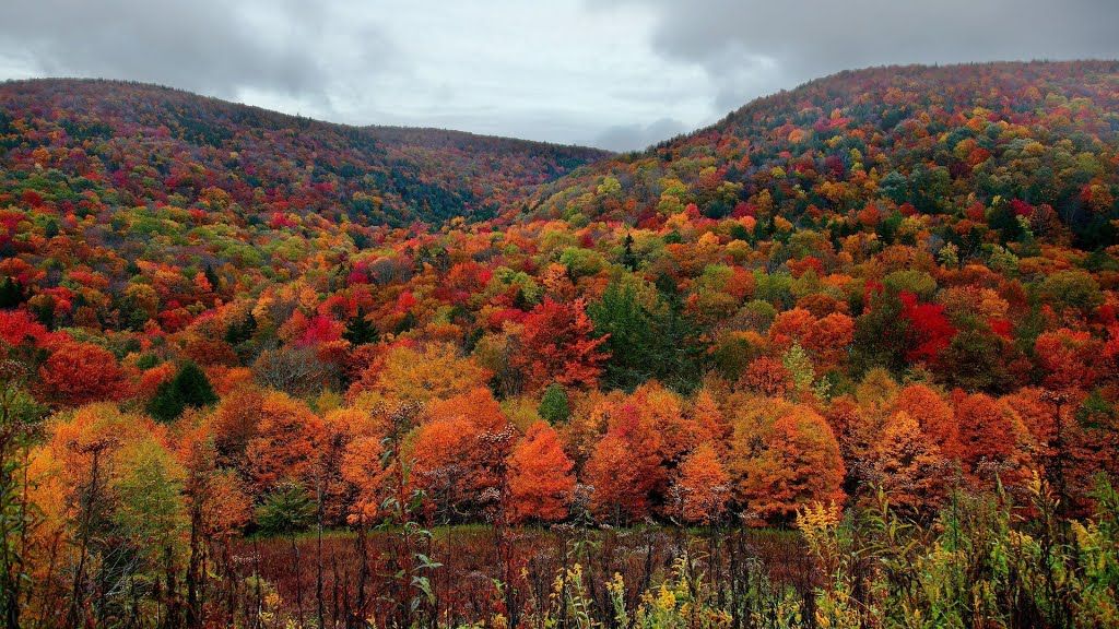 რაჭის ტური  ნომბერს (კვირა)