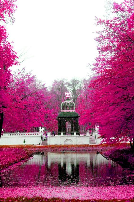 პოლონეთი / გდანსკი