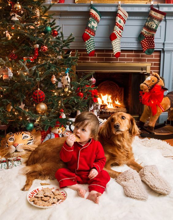 შობა პარიზში ₾-ად