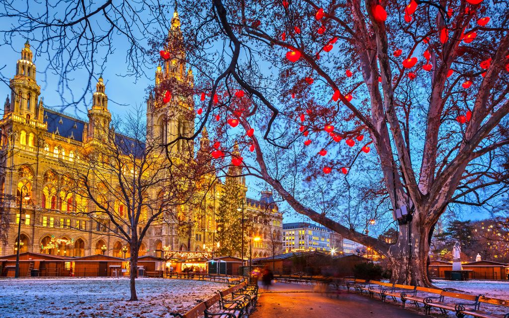 ტური ვენაში