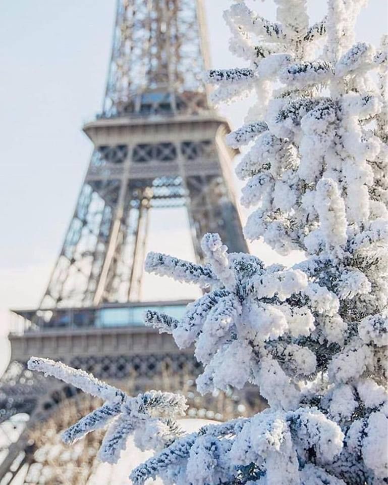 პარიზის საგზური მხოლოდ დღის აქციით!!!