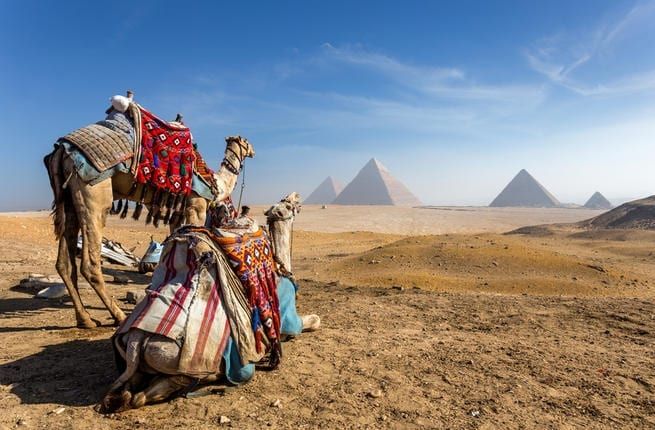 ეგვიპტის შიდა ტურები ყველაზე იაფად