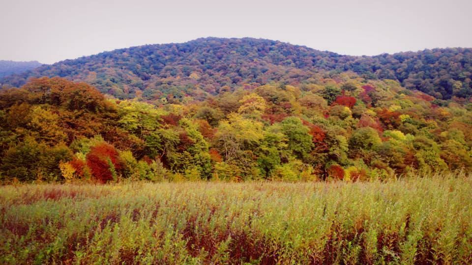 მაჭის ციხე-ბნელი ხეობის ბილიკი