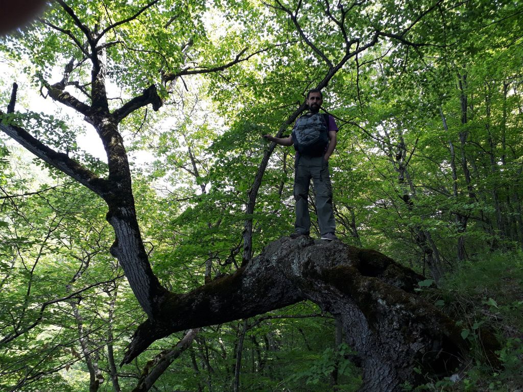 დიდგორი, ბეთანია, ხეკორძულა, აბულეთი და ა.შ.