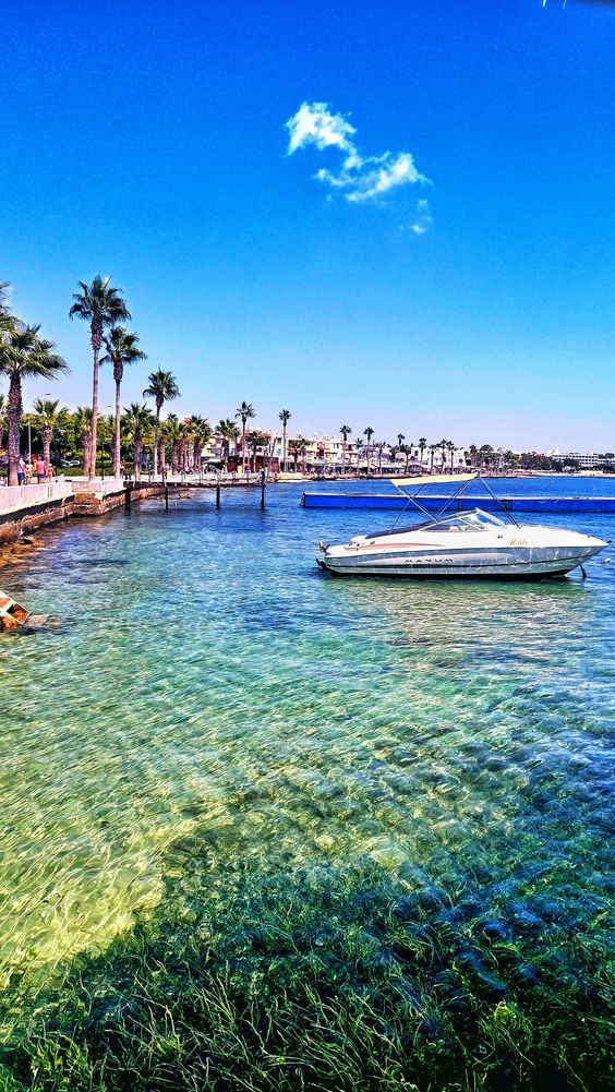 კვიპროსი