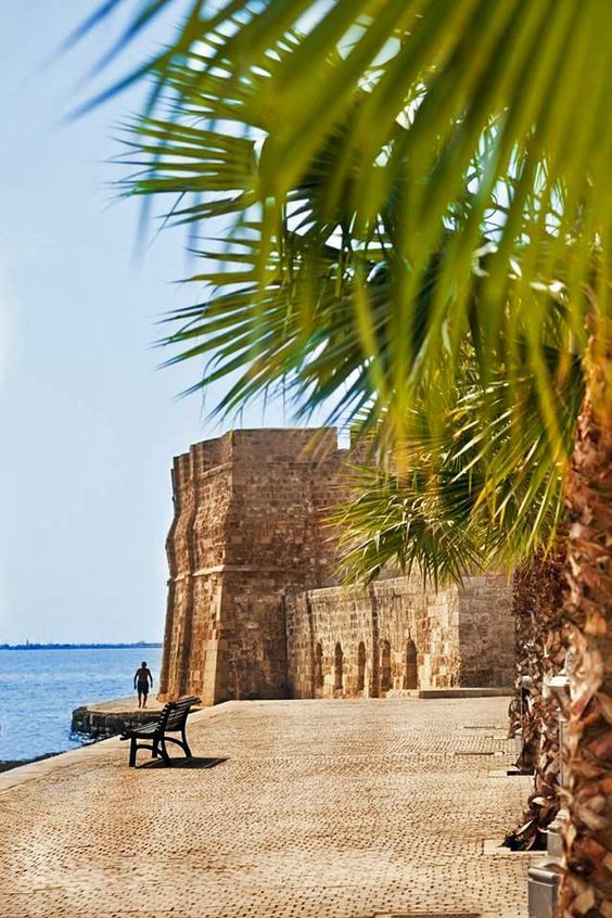 კვიპროსი