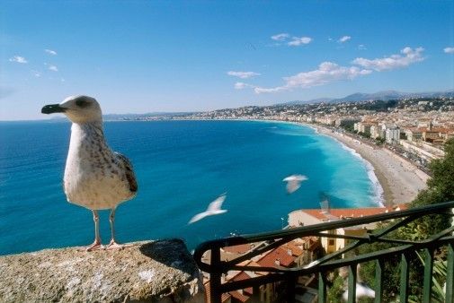 ნიცა , საფრანგეთი