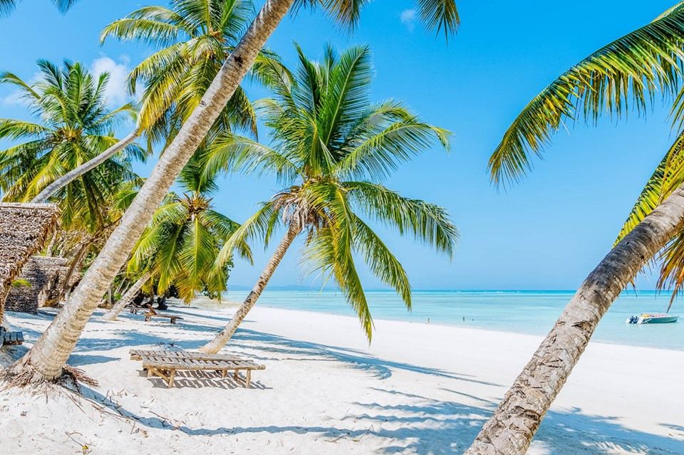 მადაგასკარი! სრული საგზურები !