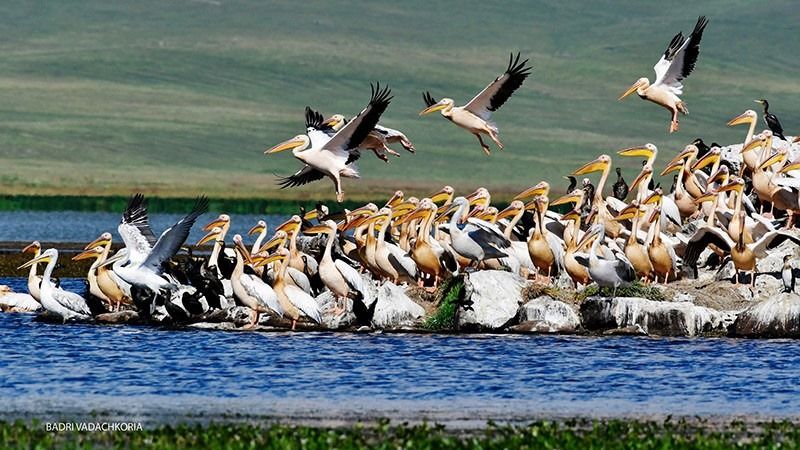 ჯავახეთის ტბები და დუხაბორები