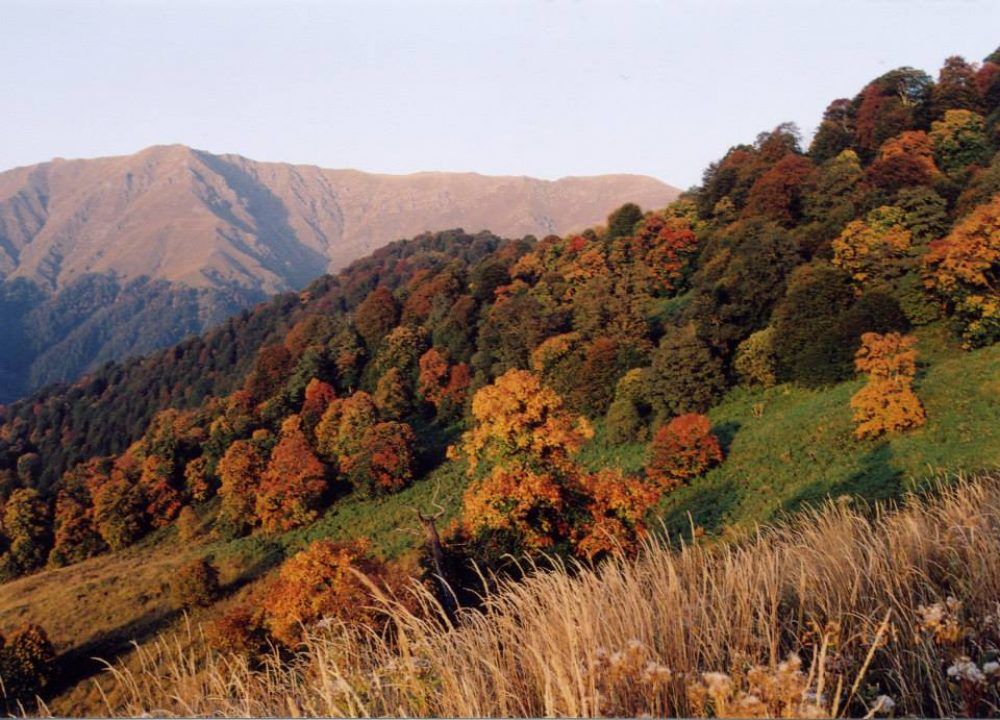 ორ დღიანი ტური კახეთში