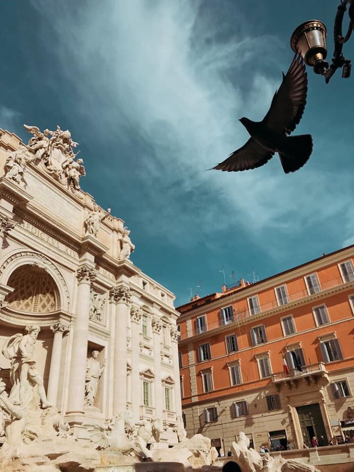 რომის საგზური !!!