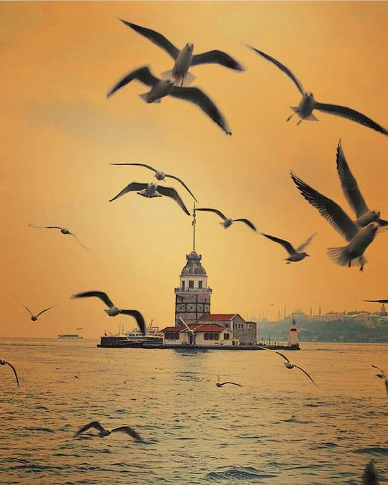 სტამბოლი / ISTANBUL -  !