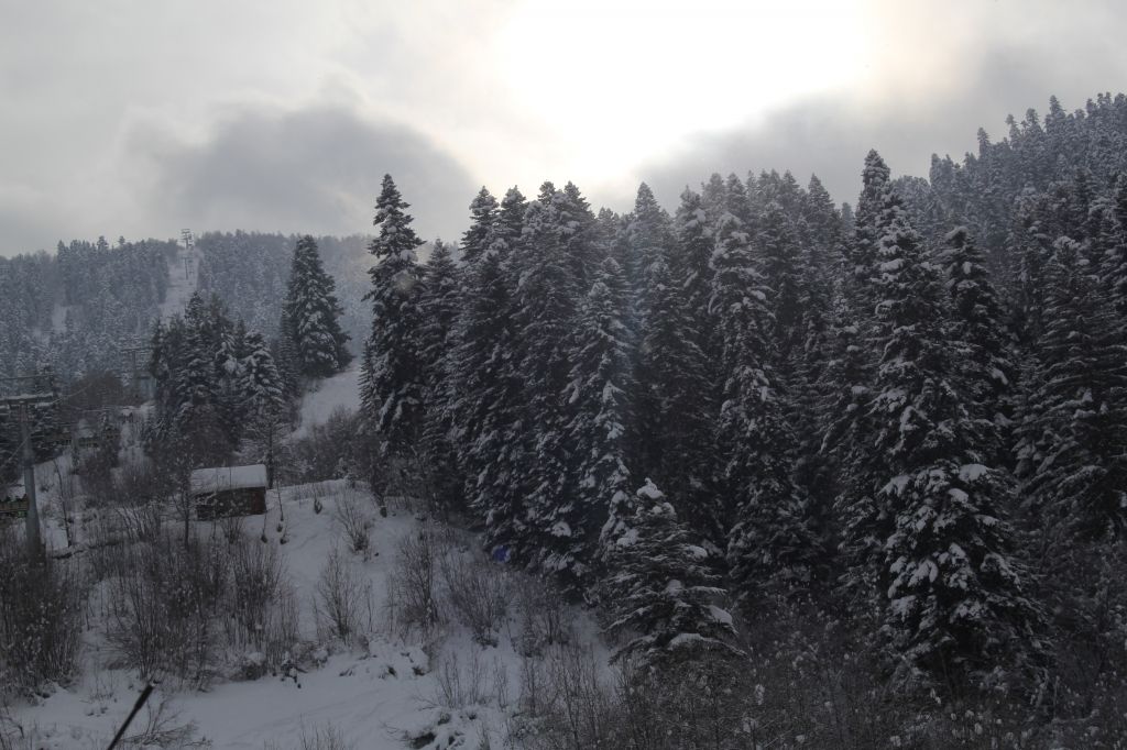 შეხვდი ახალ წელს სვანეთში /-- იანვარი