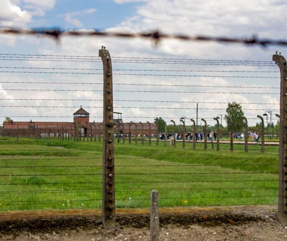 რატომ კრაკოვი?