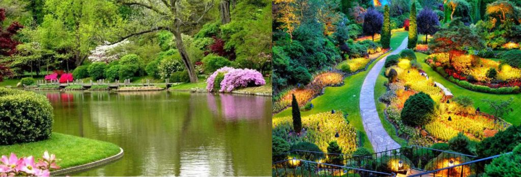 დღიანი ტური შრი ლანკაში