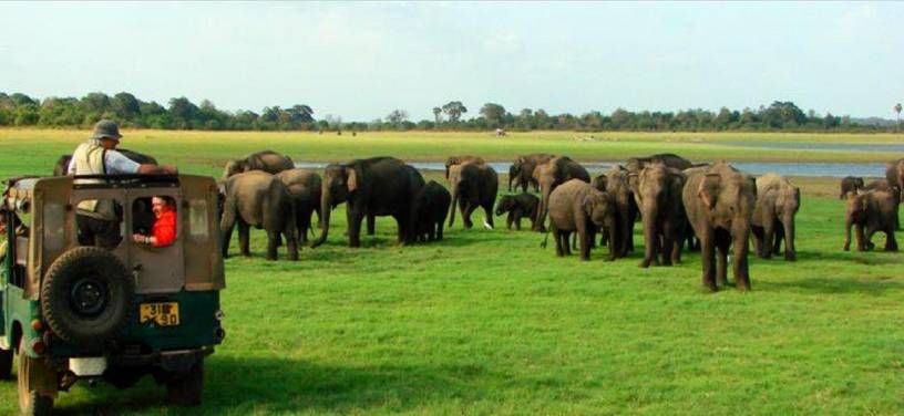 დღიანი ტური შრი ლანკაში