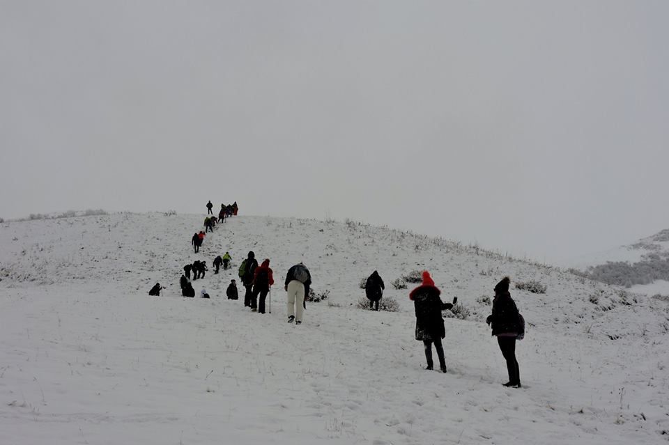 გიორგობა ლომისაზე