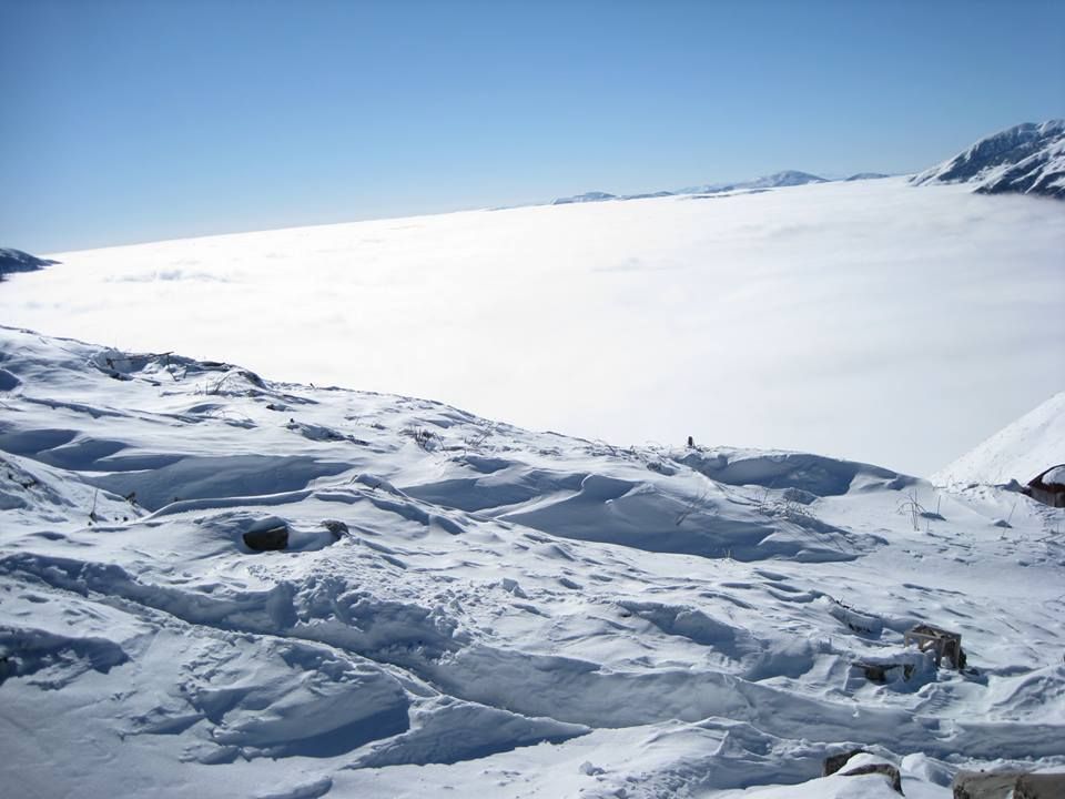 გიორგობა ლომისაზე