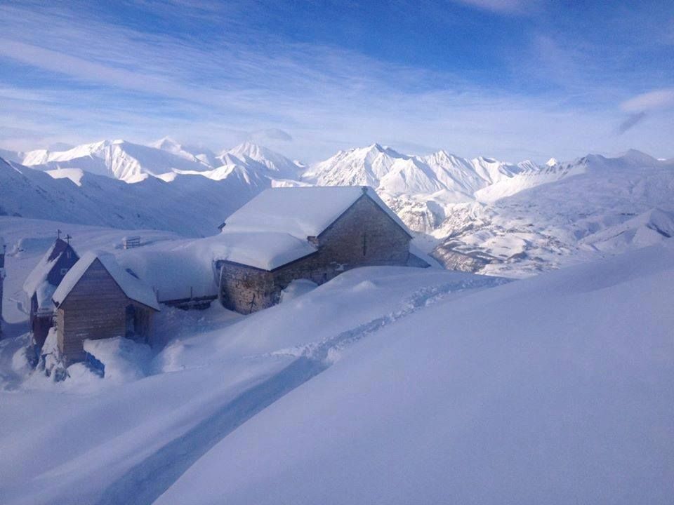 გიორგობა ლომისაზე