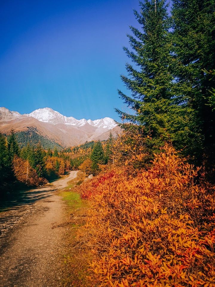 გიორგობა სვანეთში