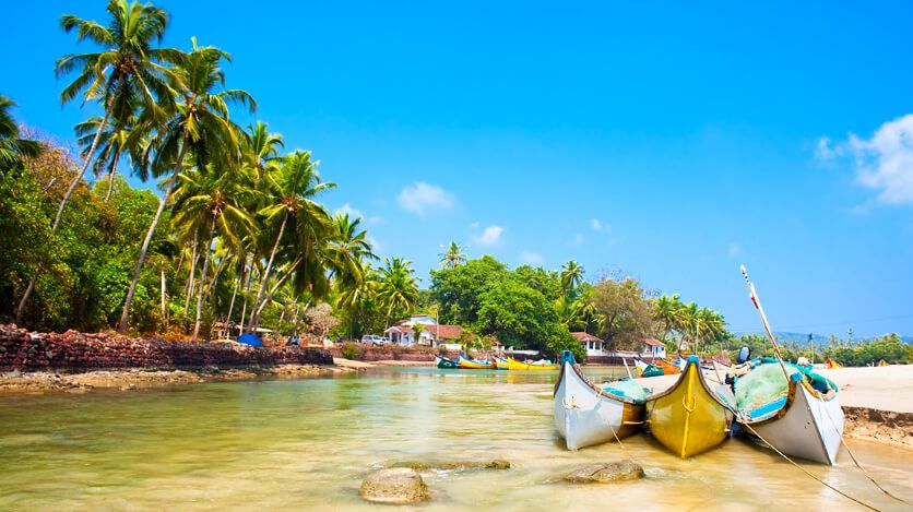 ინდოეთი- საზღვაო კურორტი გოა! სრულიდღიანი საგზურები !