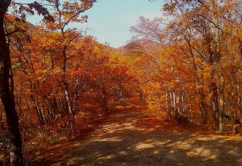 მარტყოფი - ღვთაების მონასტერი