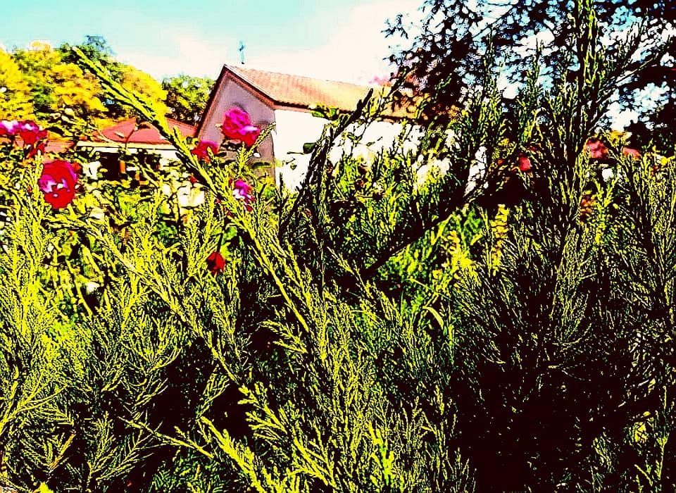 მარტყოფი - ღვთაების მონასტერი