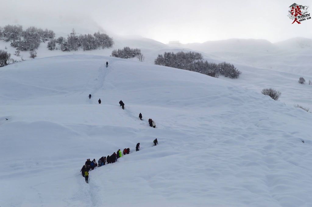 მოირონინე ლომისა ნოემბერს, გიორგობას