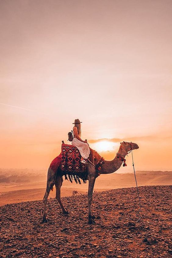 შარმ-ელ შეიხი