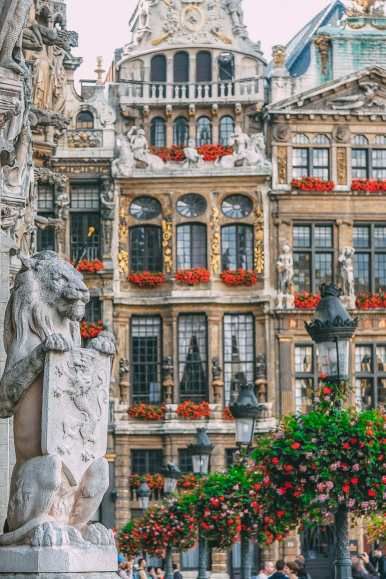 ბელგია / ბრიუსელი