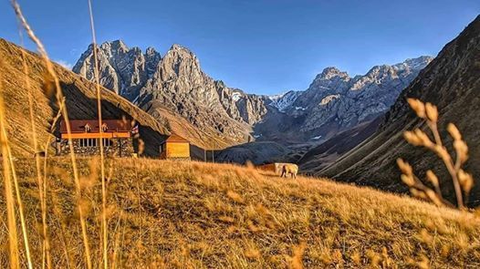 დათოვლილი ჯუთა + ყაზბეგი ნოემბერს <