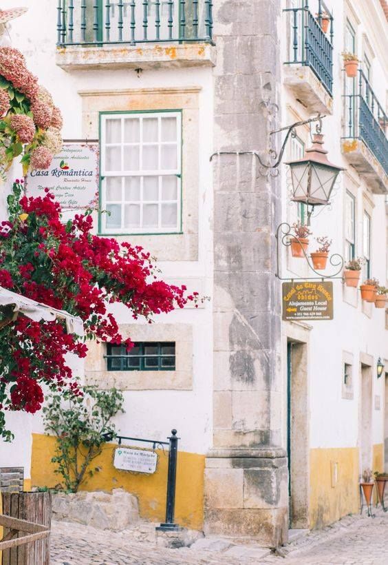 ვენა - ლისაბონი