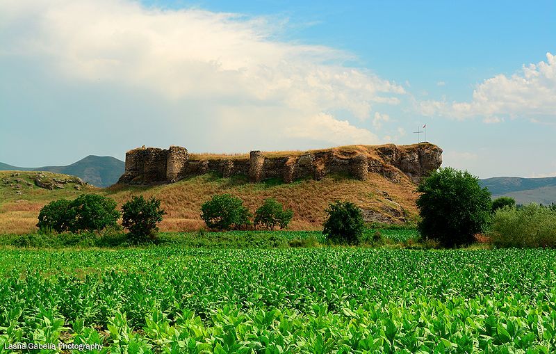 მარაბდა გაგის ციხე ჭაპალას ციხე სათხე კაზრეთი და ა.შ.