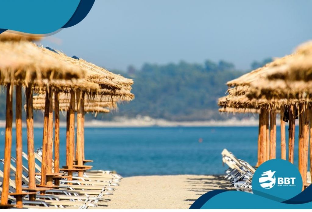 ცხელი შეთავაზება! ეგვიპტე! 