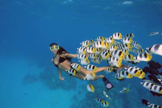 აქცია შარმ ელ შეიხზე