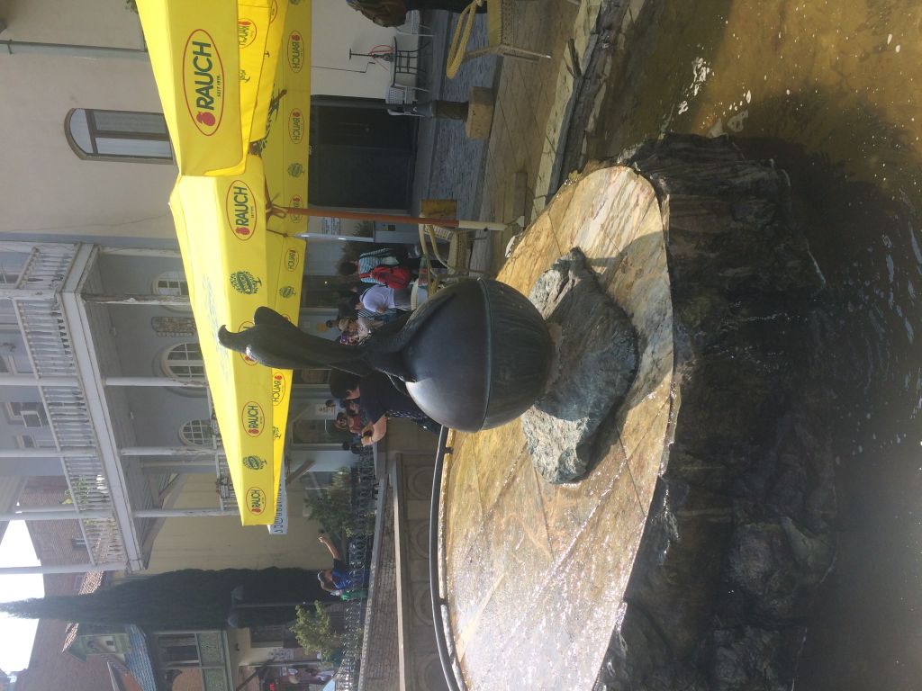 ტური თბილისსა და მცხეთაში ერთ დღეში