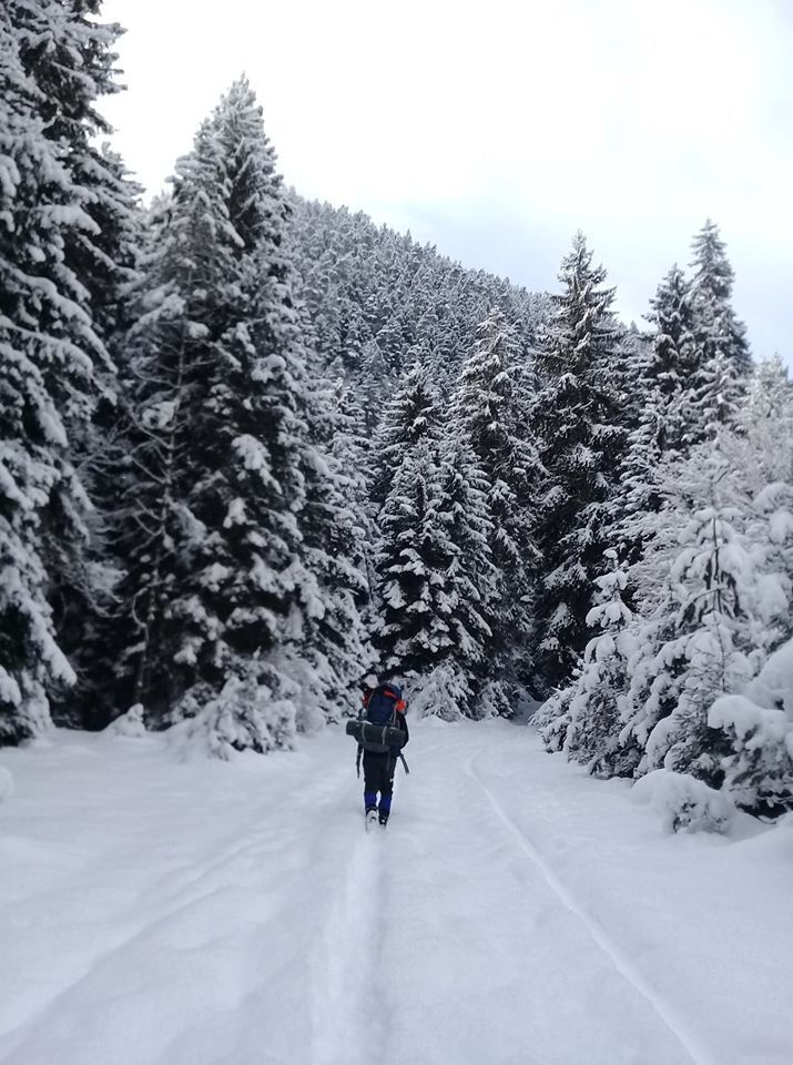 ლიკანის ხეობის ბილიკი (ბ.ხ.ე.პ.)